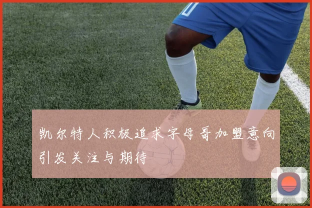 凯尔特人积极追求字母哥加盟意向引发关注与期待